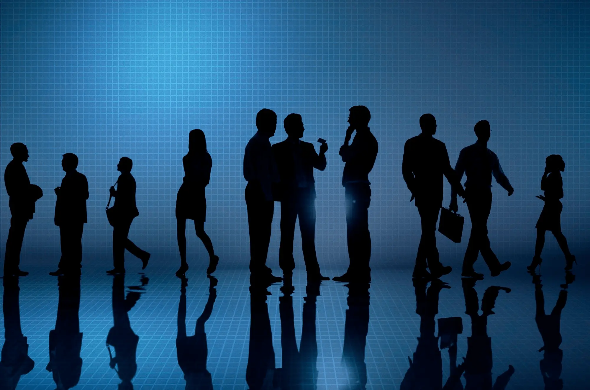 Expert Team Background